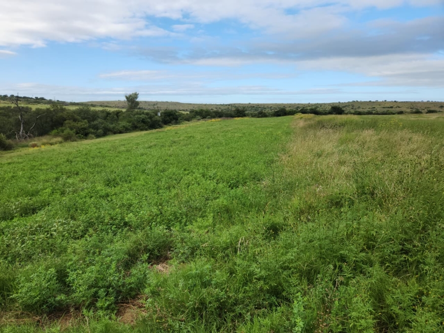 Commercial Property for Sale in Somerset East Rural Eastern Cape